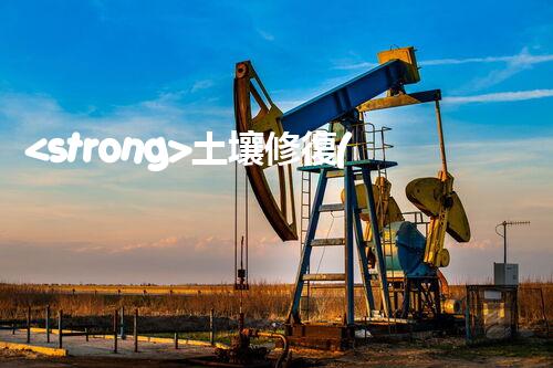 <strong>土壤修復(fù),危廢資源化龍頭危險(xiǎn)廢棄物處理的專(zhuān)業(yè)之道：安全高效的施工技術(shù)</strong>